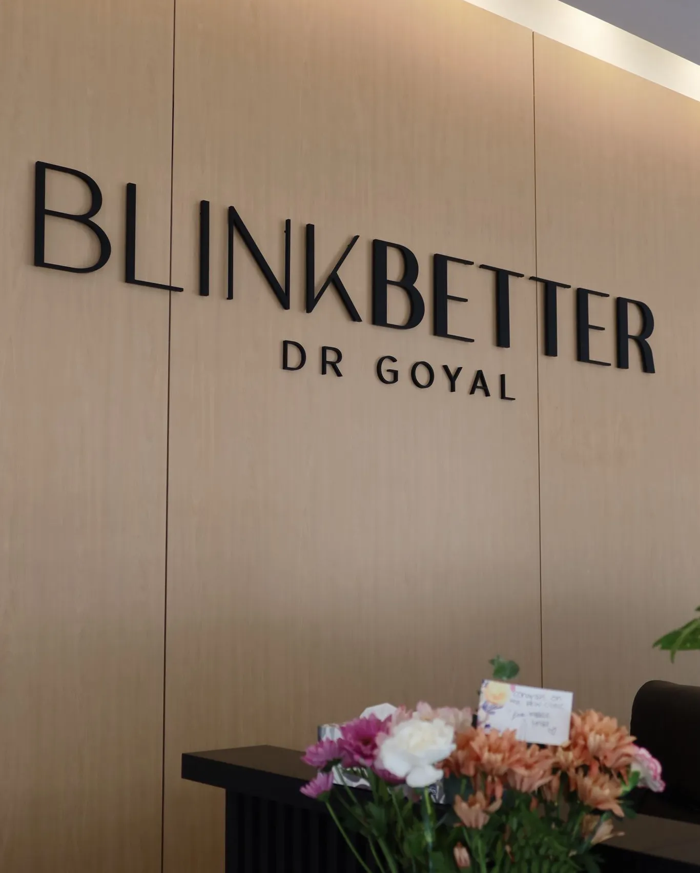 Our Story at Blink Better by Dr Goyal