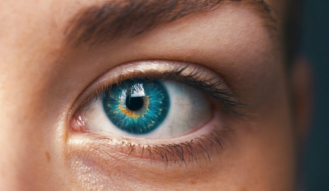 Can What You Eat Affect Dry Eyes?